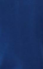 Admiral Blue